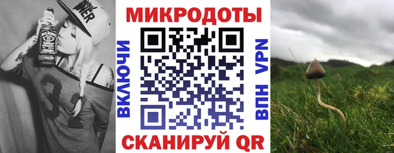 Галлюциногенные грибы Psilocybine cubensis  Кинель 
